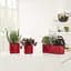 Вазон Lechuza Cube Glossy Triple 40х14х14 см антрацит (13671) - мініатюра 5