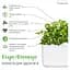 Змінний картридж Click & Grow Smart Soil Коріандр (8417) - мініатюра 5