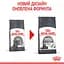 Сухий корм для котів Royal Canin Dental Care, для профілактики утворення зубного нальоту, 1,5 кг (2532015) - мініатюра 2