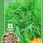 Насіння Agro-Market Кріп грибовський Великий пакет 7 г (24640) - мініатюра 1