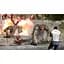 Ключ активації Microsoft Serious Sam Collection для Xbox One/Series - мініатюра 6