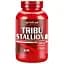 Стимулятор тестостерона ActivLab Tribu Stallion 60 капсул - миниатюра 1