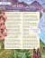 Oxford Discover. Level 6. Student Book Pack - мініатюра 6