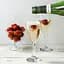 Вино игристое MVSA Cava DO Brut белое брют 0.75 л - миниатюра 5
