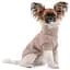 Свитер для собак Pet Fashion Sam L бежевый (PR442447) - миниатюра 3