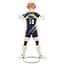 Акрилова фігурка Волейбол! Се Хіната Haikyuu!! Shouyou Hinata 16 см - мініатюра 1