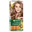 Фарба для волосся Garnier Color Naturals відтінок 7N натуральний русявий 110 мл (C5471701) - мініатюра 1
