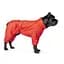 Комбінезон Pet Fashion Cold для собак, розмір SM, червоний - мініатюра 4