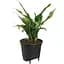 Вставка з автополивом Elho self-watering insert 17см (331566) - мініатюра 4