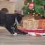 Іграшка для котів Trixie Мишка тканина 7 см 2 шт. біла/червона (92451_Christmas) - мініатюра 3