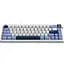 Клавіатура Ajazz AK650 Sea Salt Switch White/Blue (AK650-SS-BWB) [156876] - мініатюра 4