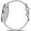 Смарт-часы Garmin Venu 3S Silver Stainless Steel Bezel with Sage Gray Case and Silicone Band (010-02785-01/51) [111836] - миниатюра 5