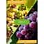 Минеральное удобрение Agro-x Biohyper extra Биохайпер Экстра для винограда 100 г (47231) - миниатюра 3