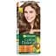 Фарба для волосся Garnier Color Naturals відтінок 6 лісовий горіх 110 мл (C4430526) - мініатюра 1