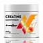 Креатин Creatine Monohydrate 300 грам - Персик IronFlex vit0003895 - мініатюра 1