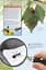 Bug Hunter. Nature Activities - миниатюра 3
