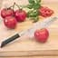 Нож сантоку Risoli Dr. Green Santoku 16 см - миниатюра 5