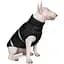 Жилет для собак Pet Fashion Big Boss 3XL черный - миниатюра 3