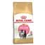 Сухий корм для перських кошенят з птицею Royal Canin Kitten Persian, 2 кг (2554020) - мініатюра 1