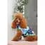 Жилет Pet Fashion Grass для собак розмір XS - мініатюра 7