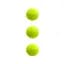 Набір м'ячів для великого тенісу SWDN Tennis Ball NE-TT-3, 3 штуки - мініатюра 1