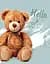 Фотольбом UFO 10x15x200 PP-46200 Hello bear - мініатюра 1