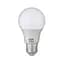 Лампочка Horoz А60 PREMIER SMD LED 12W 6400K E27 1050Lm (YT32451) - мініатюра 1
