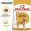 Сухий корм для дорослих собак породи Золотистий ретрівер Royal Canin Golden Retriever Adult, 3 кг (3970030) - мініатюра 5