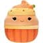 М'яка іграшка Squishmallows Капкейк Кейша 13 см (SQER00813) - мініатюра 1