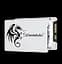 SSD 2.5" накопитель Somnambulist 256GB (SMNBLST256GB) - миниатюра 1