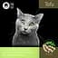 Fun Cat TOFU наполнитель для кошачьих туалетов соевый с ароматом зеленого чая 5 л - миниатюра 1