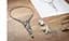 Cartier: Le Voyage Recommenc. High Jewelry and Precious Objects - Франсуа Шає, Хелен Кельмахтер - мініатюра 10
