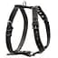 Шлея одинарна CoLLaR для середніх собак (4820082492724) - мініатюра 1