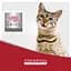 Вологий корм для котів Morando Migliorgatto Unico Delicious індичка 100 г - мініатюра 4