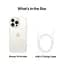 Смартфон Apple iPhone 15 Pro Max 256GB White Titanium A3106 (Grade A) Seller Refurbished - миниатюра 8