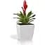 Цветник Plastkon Quadrato Flower Lover со оросительной системой белый (23195) - миниатюра 2