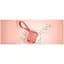 Портативна колонка Sony SRS-XB13 Coral Pink (SRSXB13P) - мініатюра 2