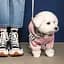 Дощовик Pet Fashion Ariel XL рожевий - мініатюра 4