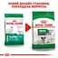 Сухий корм для собак старше 12 років Royal Canin Mini Ageing 12+, 1,5 кг (1007015) - мініатюра 2