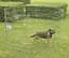 Savic дог парк Dog Park вольер для цуценят цинк 8 панелей - мініатюра 1