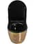 Подвесной унитаз Rea Carlo Flat brushed gold black REA-C3300, Золотой - миниатюра 4