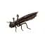 Силікон FishUP Dragonfly 1.7" #050 Green Pumpkin Brown/Red & Purple (8 шт/уп) - мініатюра 1