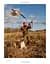 Hunting: The Ultimate Book - мініатюра 11