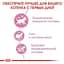 Сухой корм для котят после стерилизации Royal Canin Kitten Sterilised 0.4 кг - миниатюра 3