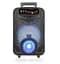 Портативна Bluetooth-колонка NDR-P44 8 дюймів (Black) - мініатюра 2