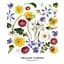 Зошит загальний Школярик Meadow flowers, в лінійку, 36 арк, УФ-лак, 20 шт. (036-3190L) - мініатюра 4