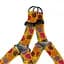 Шлея для собак BronzeDog Urban Fruits Пончики M 45-56 см - мініатюра 2