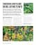 Grow Shade Garden. Essential Know-how and Expert Advice for Gardening Success - мініатюра 8