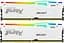 Модуль пам'яті Kingston Fury DDR5 32GB (2x16) 6000MHz Beast White RGB EXPO/XMP 3.0 (KF560C30BWEAK2-32) - мініатюра 1