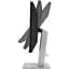 Монитор Asus ProArt 23.8` PA247CV (90LM03Y1-B02370) [149660] - миниатюра 10